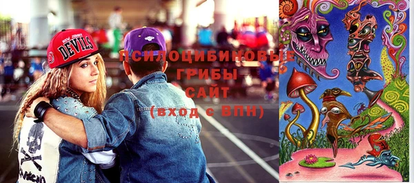 шишки Зеленодольск