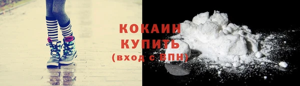 крисы Пенза