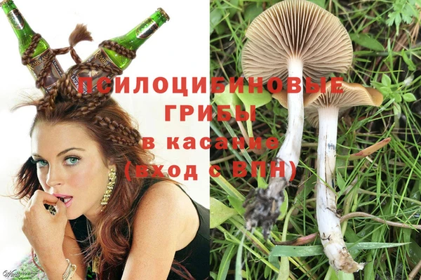 шишки Зеленодольск