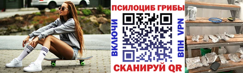 Галлюциногенные грибы GOLDEN TEACHER  Каргат 